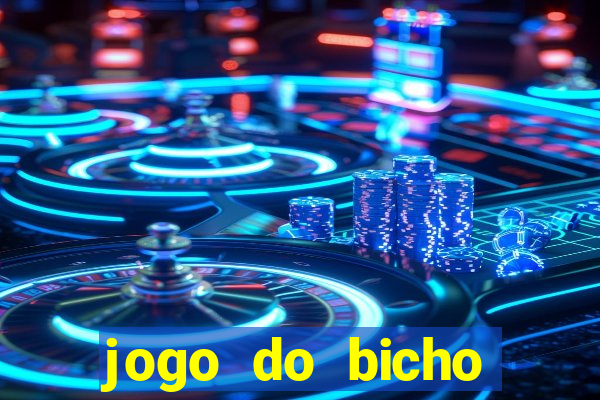 jogo do bicho crash bingo